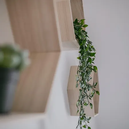 Schoendorf - Virtual Reception *