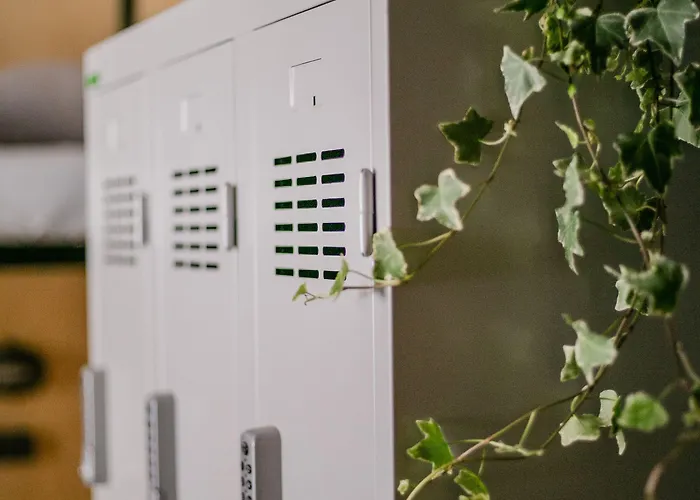 Schoendorf - Virtual Reception 旅馆