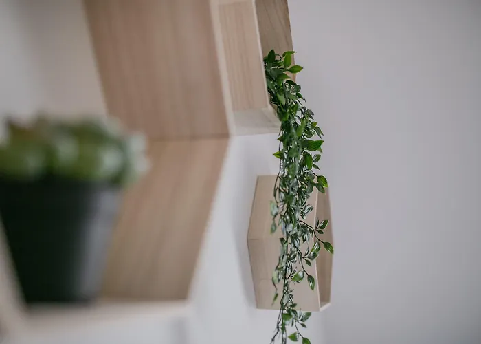 Schoendorf - Virtual Reception *