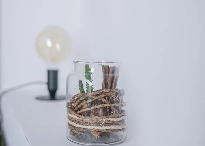 Schoendorf - Virtual Reception Bratysława