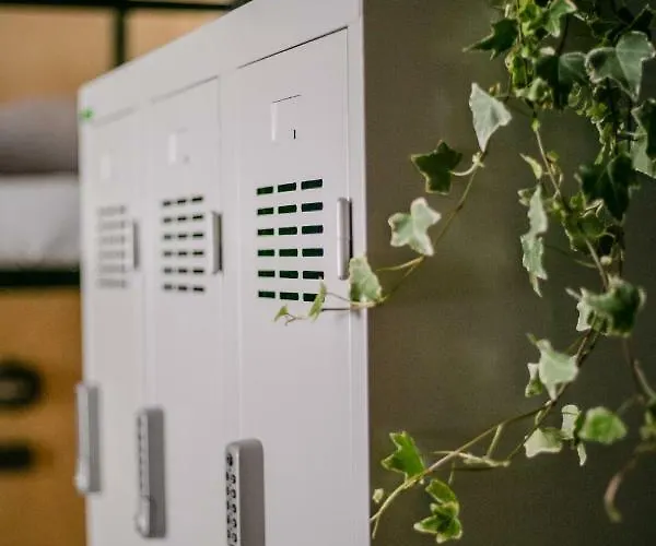 Schoendorf - Virtual Reception * Bratysława